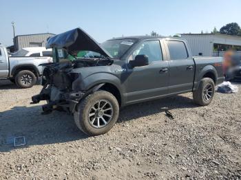  Salvage Ford F-150