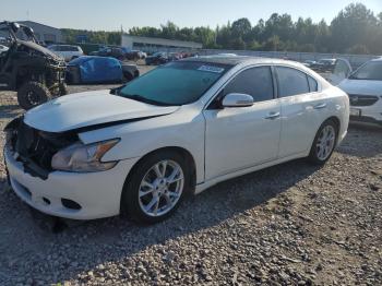  Salvage Nissan Maxima