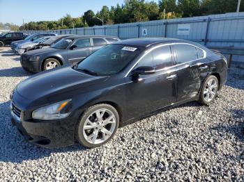  Salvage Nissan Maxima