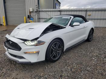  Salvage Ford Mustang