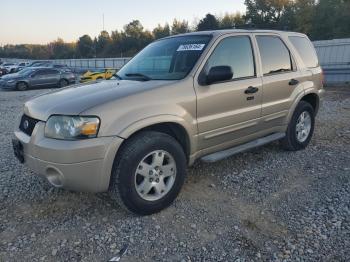  Salvage Ford Escape