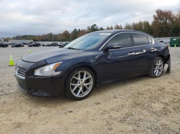  Salvage Nissan Maxima