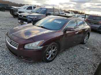  Salvage Nissan Maxima