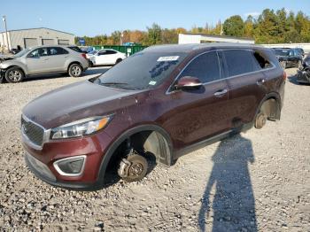  Salvage Kia Sorento