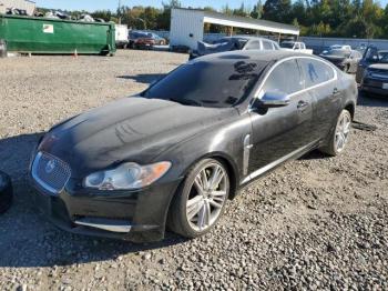  Salvage Jaguar XF