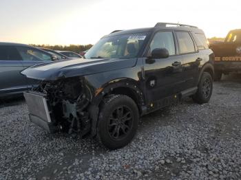  Salvage Ford Bronco