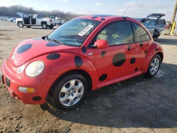  Salvage Volkswagen Beetle