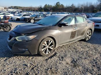  Salvage Nissan Maxima