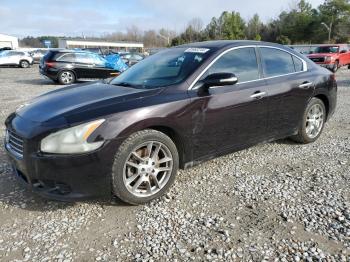  Salvage Nissan Maxima