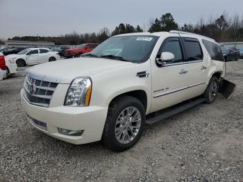  Salvage Cadillac Escalade