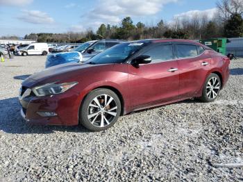  Salvage Nissan Maxima