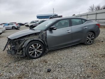  Salvage Nissan Maxima