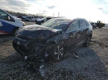  Salvage Lexus NX