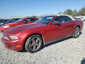  Salvage Ford Mustang