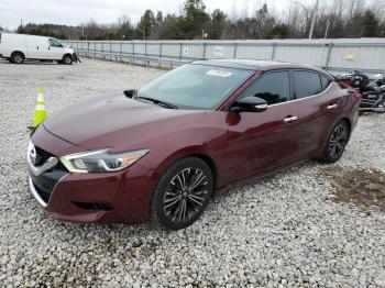  Salvage Nissan Maxima