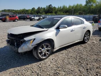  Salvage Nissan Maxima