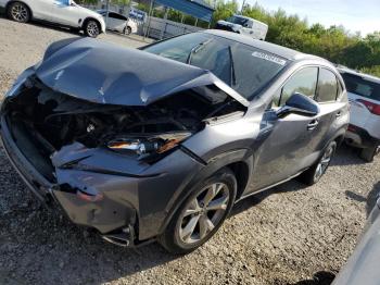  Salvage Lexus NX