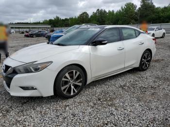  Salvage Nissan Maxima