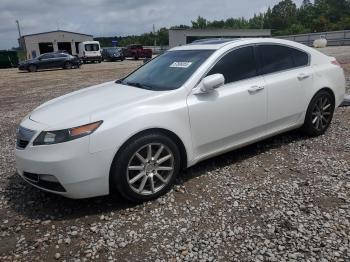  Salvage Acura TL