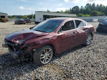  Salvage Nissan Maxima