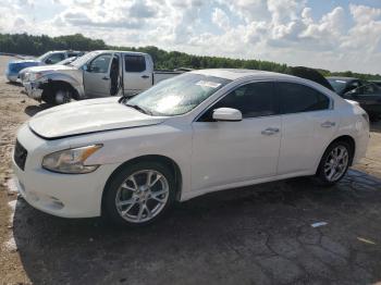  Salvage Nissan Maxima