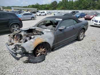  Salvage Ford Mustang