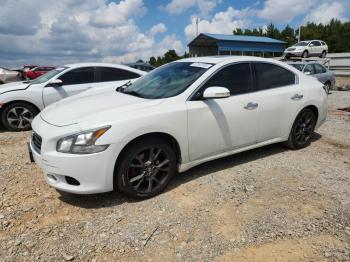  Salvage Nissan Maxima