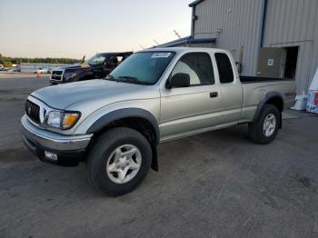  Salvage Toyota Tacoma