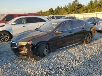  Salvage Acura El