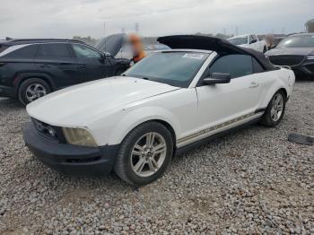  Salvage Ford Mustang