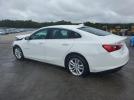 Chevrolet Malibu Lt Image 8