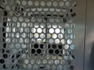 Ford Transit T-250 Image 11