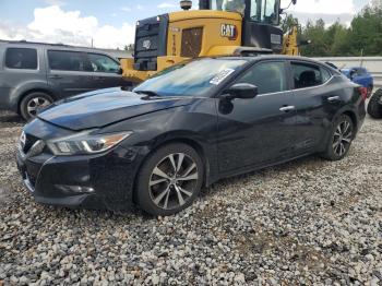  Salvage Nissan Maxima
