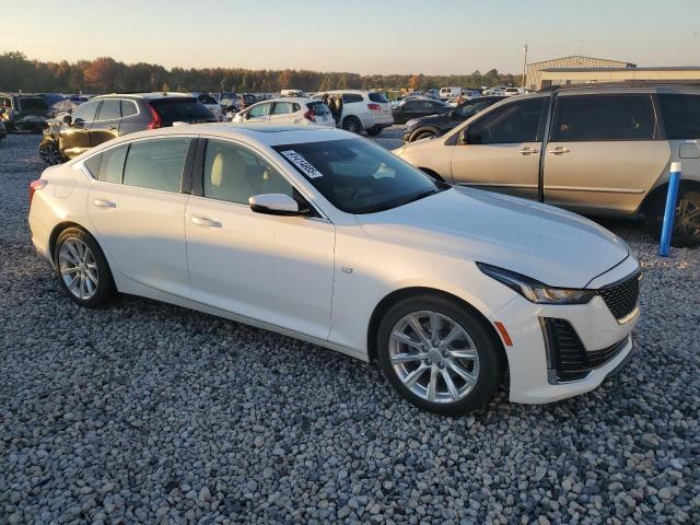 Cadillac CT5 Luxury Image 8