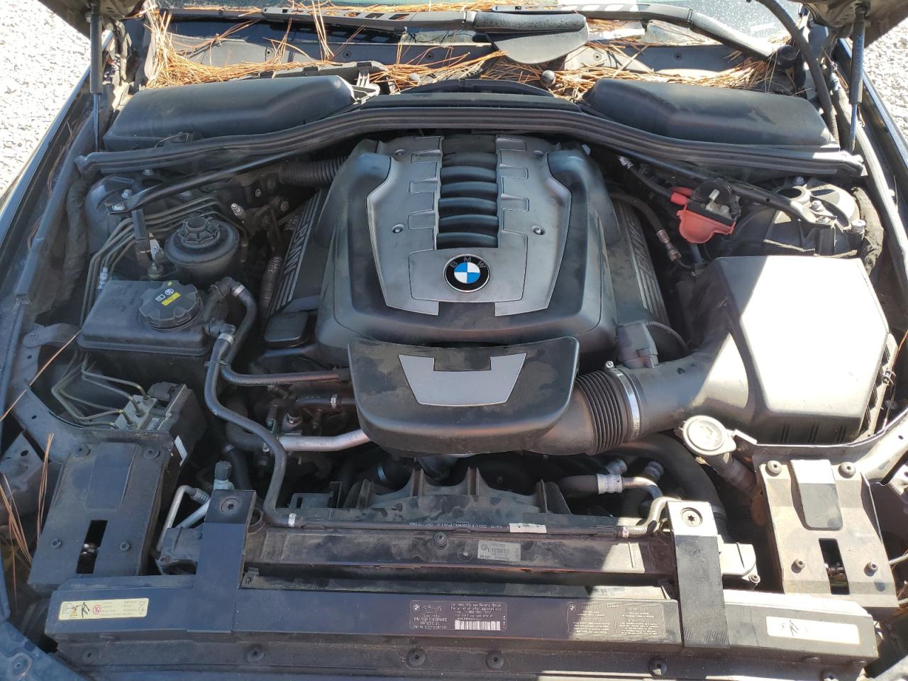 BMW 6 Series I Image 4