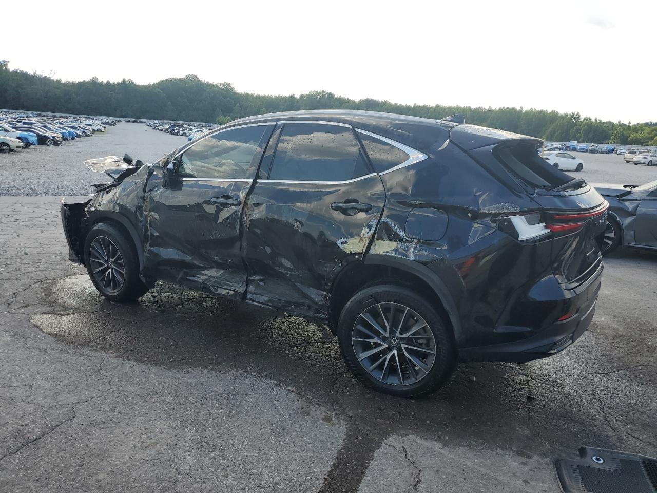 Lexus NX 350 Image 2