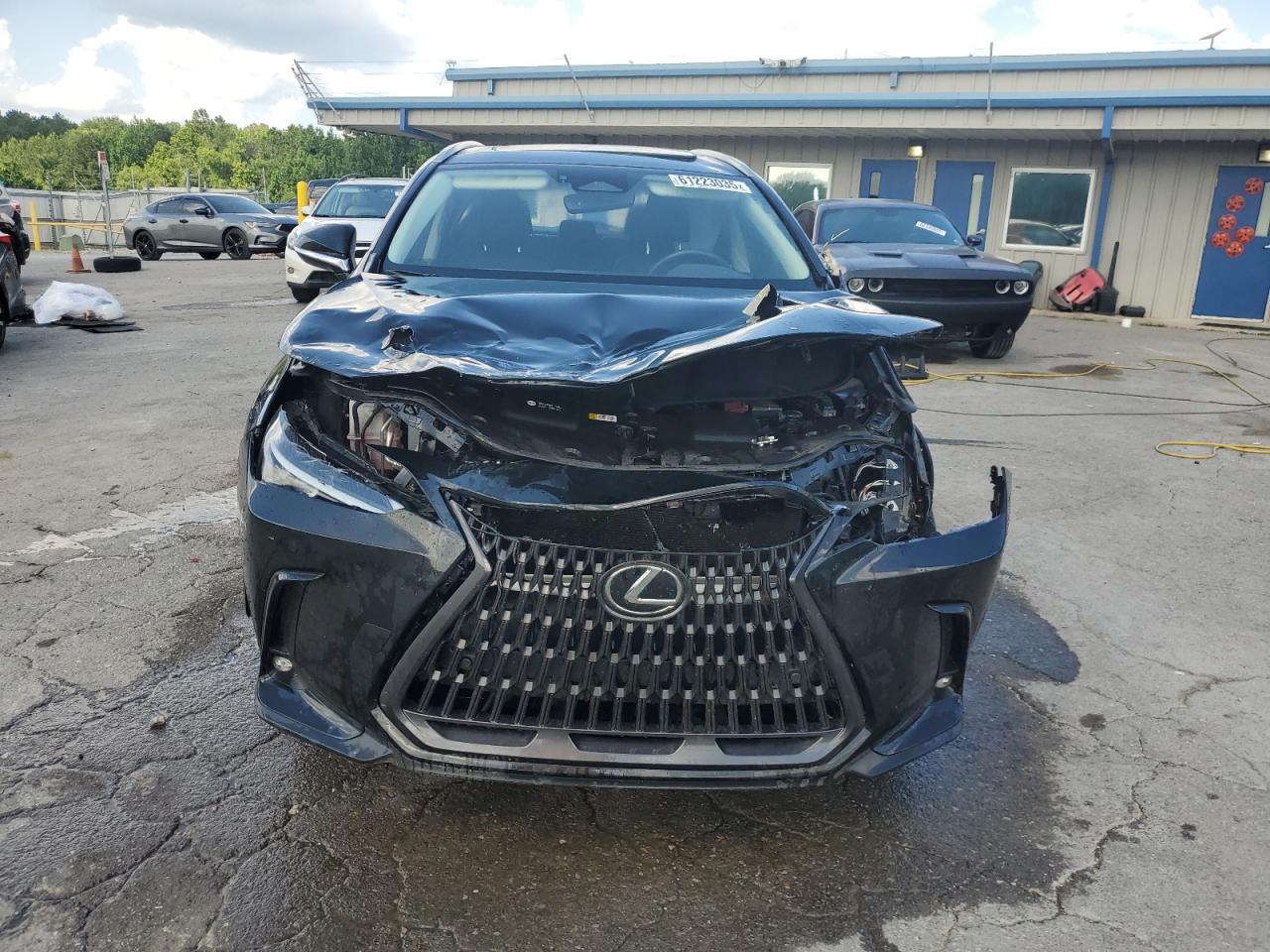 Lexus NX 350 Image 5