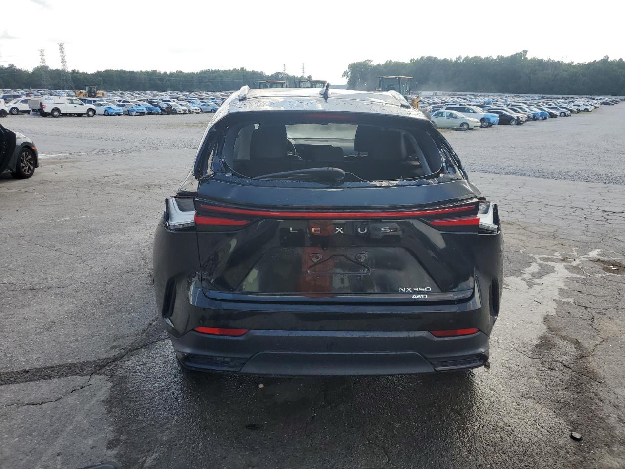 Lexus NX 350 Image 7