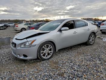  Salvage Nissan Maxima