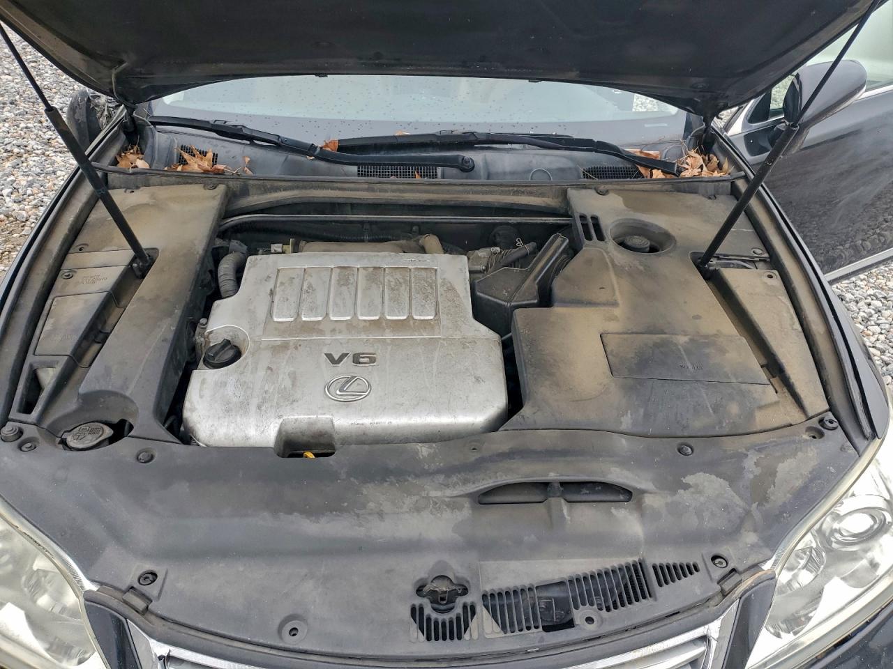 Lexus Es 350 Image 5