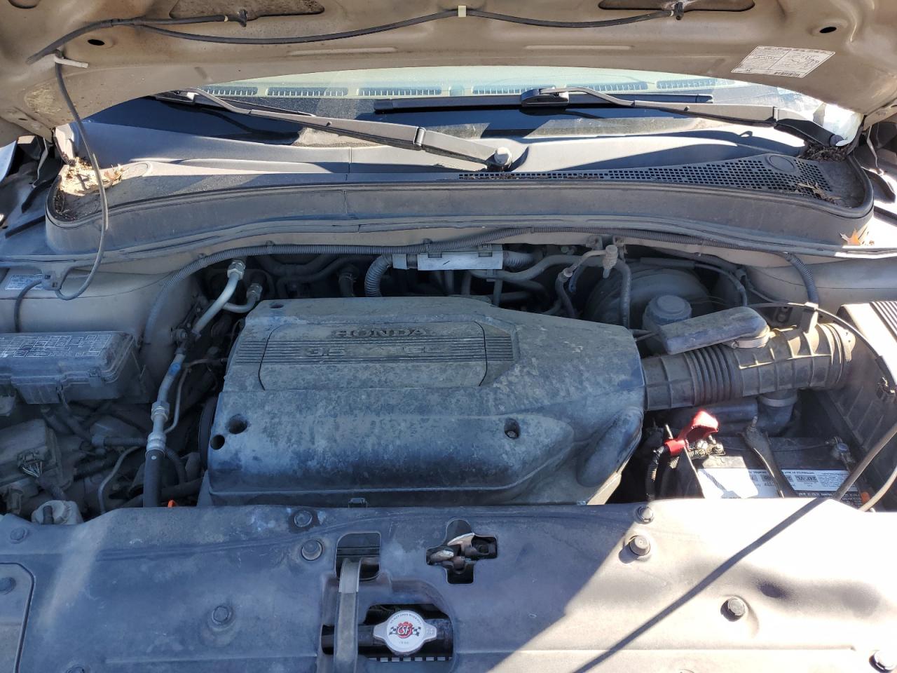 Honda Pilot Exl Image 7