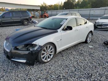  Salvage Jaguar XF