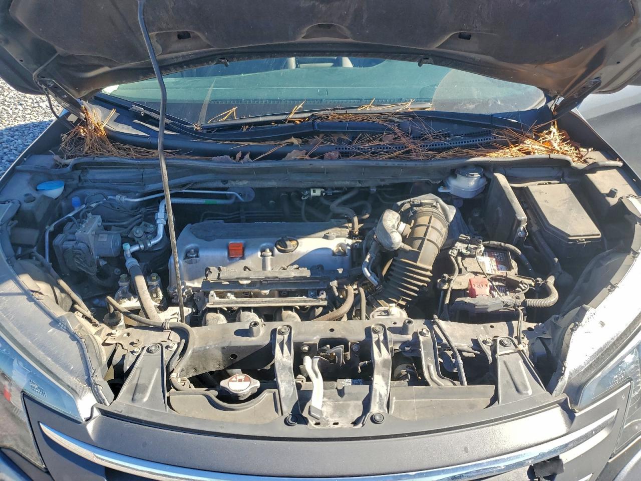 Honda Crv Lx Image 9