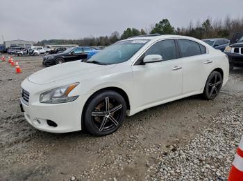  Salvage Nissan Maxima