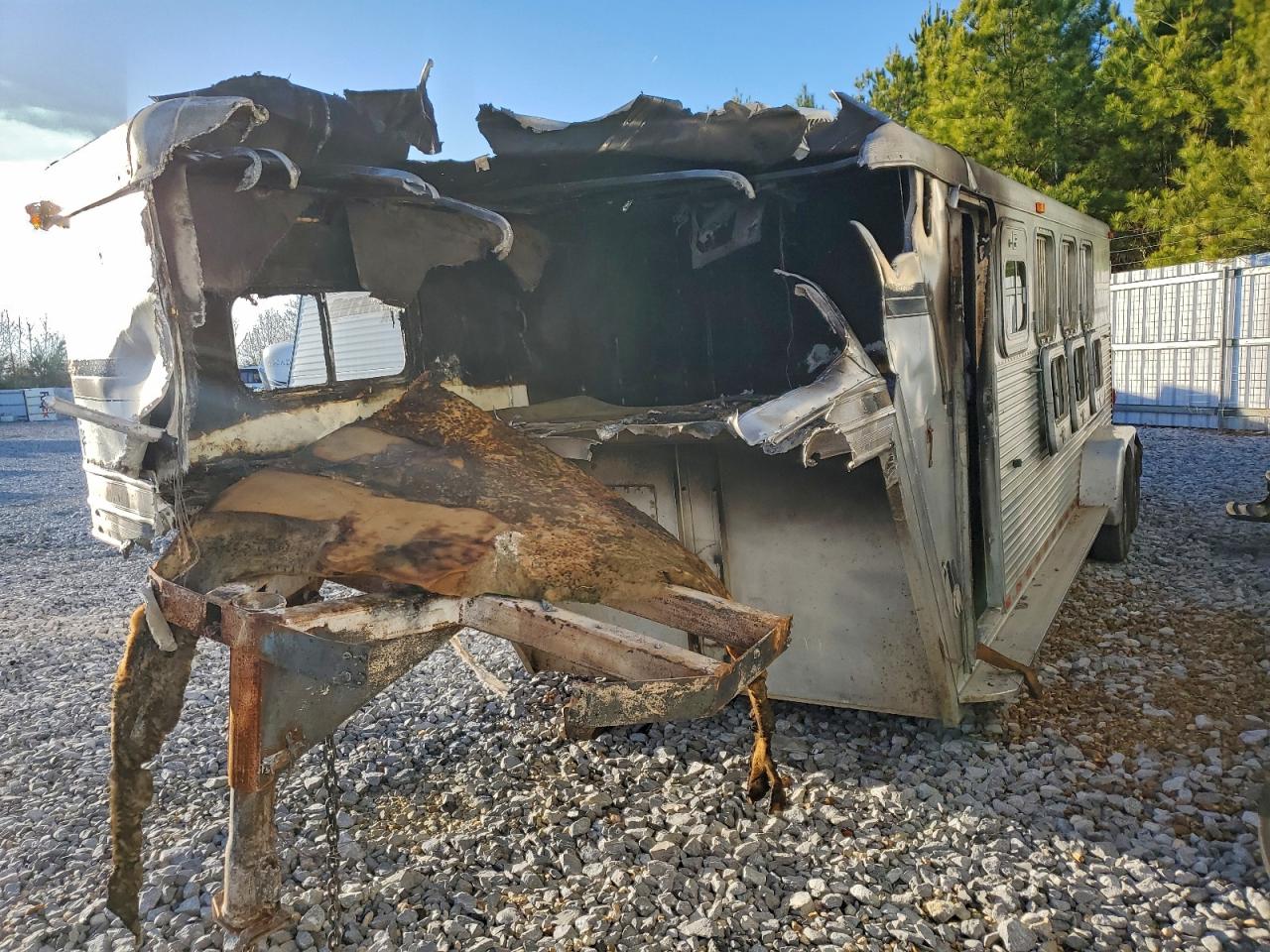 Bare Livestock Image 6