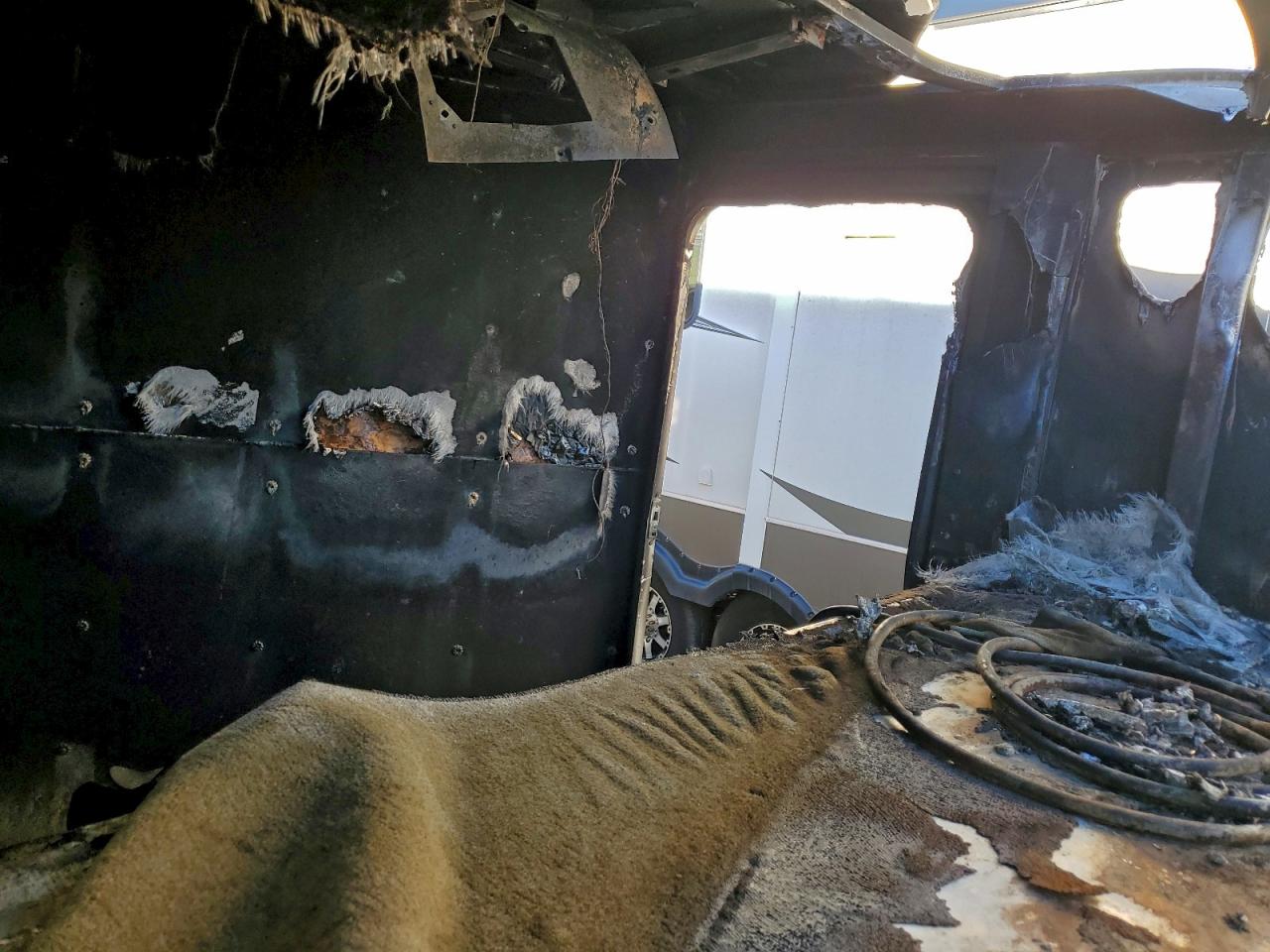 Bare Livestock Image 9