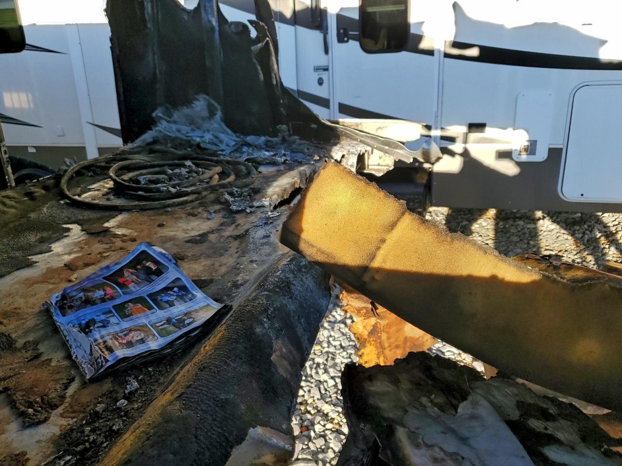 Bare Livestock Image 4