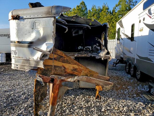 Bare Livestock Image 10