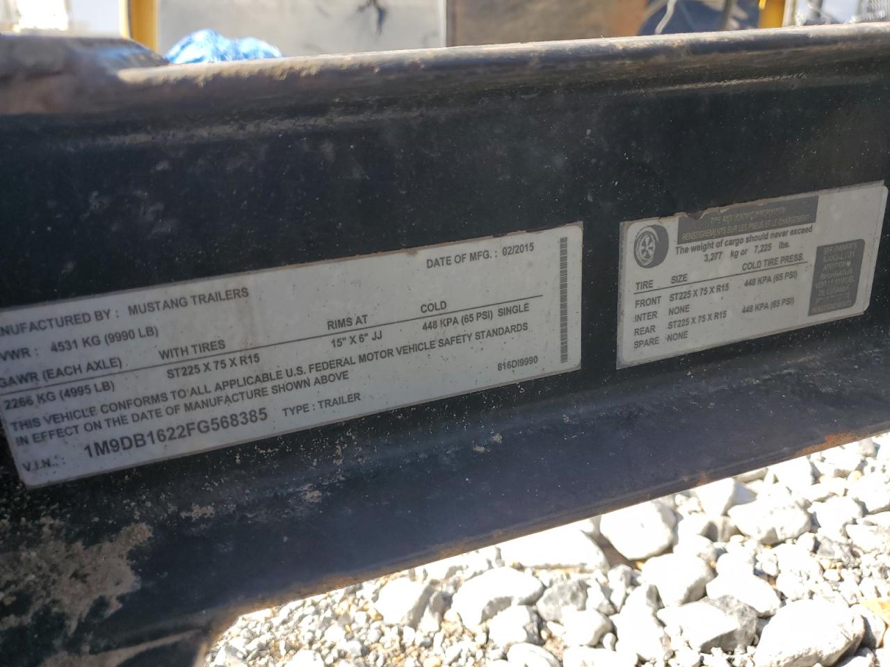 Mustang Other Image 4