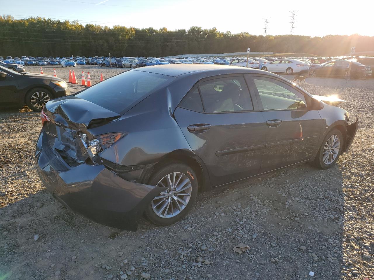 Toyota Corolla L Image 4